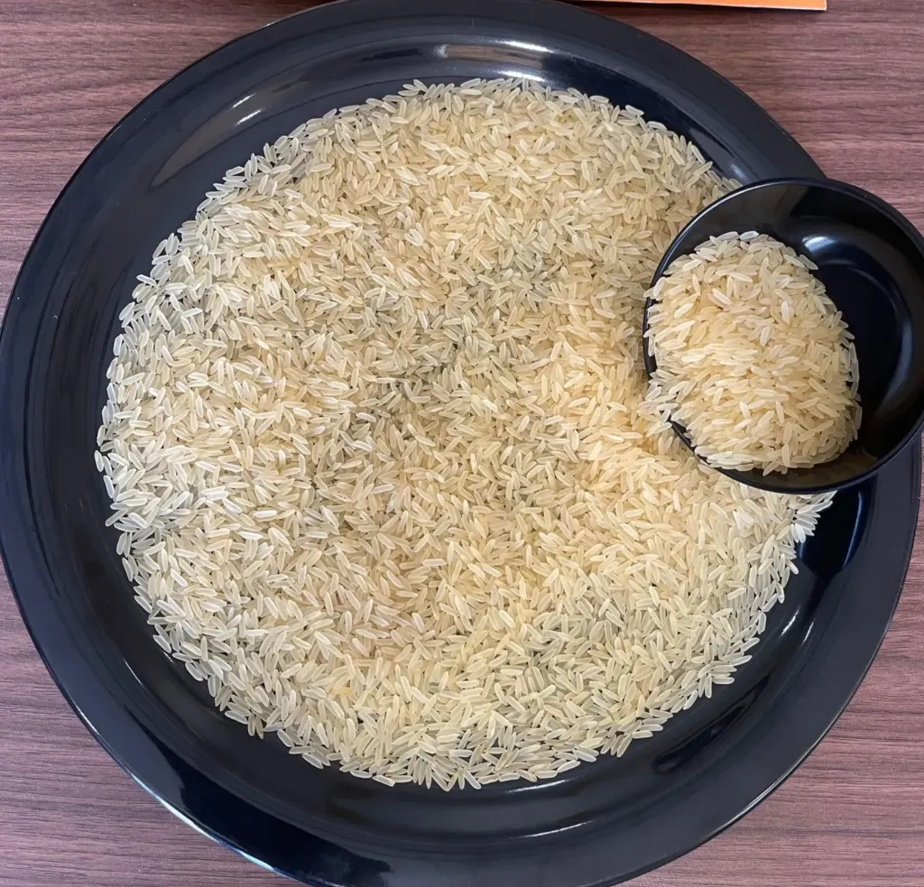 PR 11/14 RICE - GOLDEN SELLA