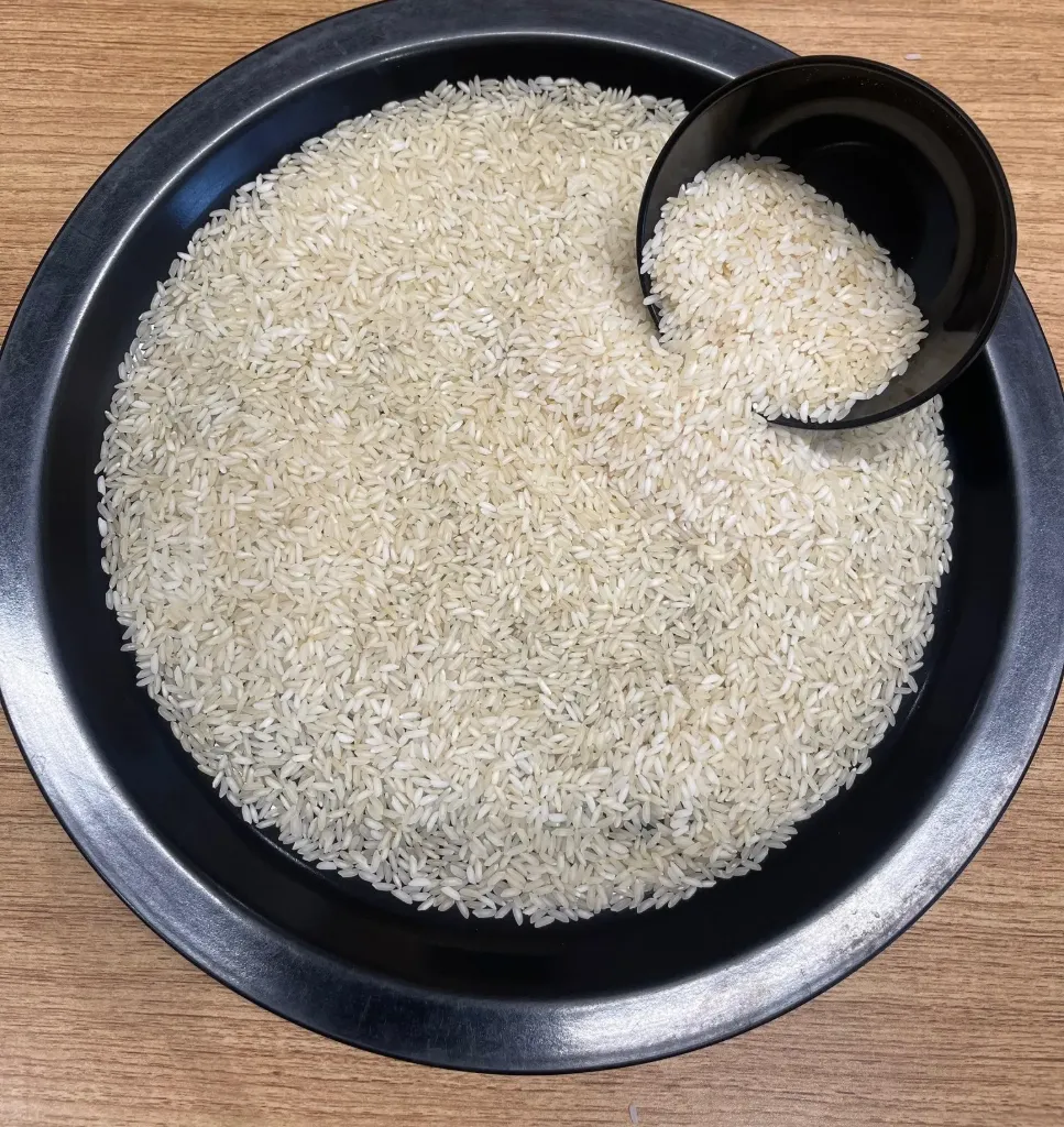SONA MASOORI RICE - STEAM